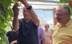 Александр Дрозденко посетил сельскохозяйственное предприятие ООО «Ново Ягода»