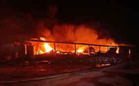 Пожарные закончили проливку сгоревшего ангара в Лепсари