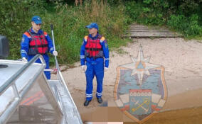 Тело мужчины нашли в Неве у поселка Павлово