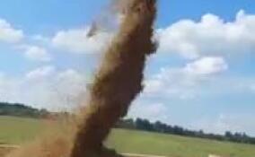 С полей в Ленобласти начали убирать зерно