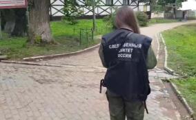 Подозреваемого в убийстве на Колтушском озере задержали