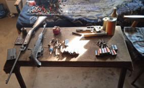 В Киришском районе задержан «чёрный копатель»