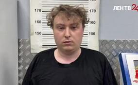 Грабитель из Соснового Бора проиграл в попытке ограбить петербурженку в центре Северной столицы