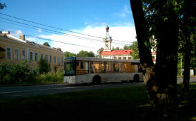 В Тосно проверили доступность общественного транспорта для маломобильных граждан