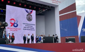 Два ленинградца получили звание «Почётный гражданин Ленинградской области»