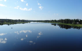 В реке Паша в Волховском районе утонул пожилой мужчина