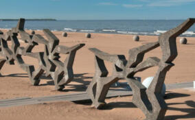 На «Ласковом» пляже в поселке Солнечное пройдет книжный фестиваль