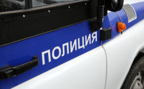 В Сланцах мужчина с ножом напал на полицейского