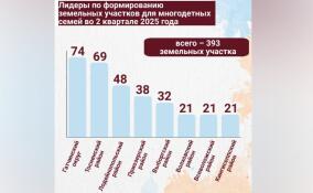 Гатчинский округ стал лидером по формированию земельных участков для многодетных