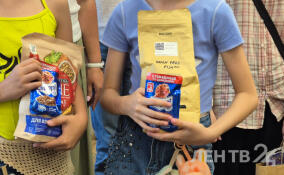 Петербургская библиотека меняет книги на корм для бездомных животных