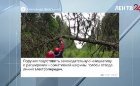 Александр Дрозденко поручил расширить ширину полосы отвода ЛЭП
