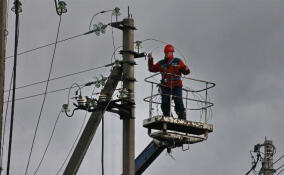 Семья из Матросово пожаловалась губернатору на неподъёмную стоимость подключения к электричеству