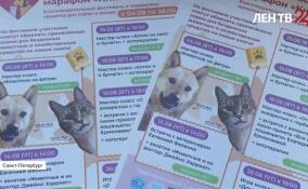 В петербургской библиотеке стартовал благотворительный марафон «Книга за корм»