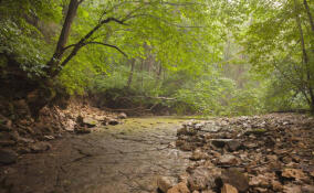Уникальная река Рагуша в Бокситогорском районе получила охранную зону