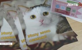 В петербургской библиотеке стартовал благотворительный марафон «Книга за корм»