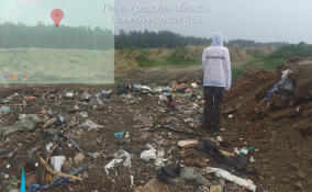 Пресечена незаконная деятельность двух компаний, устроивших незаконную свалку вблизи «Невского пятачка»