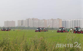 Чемпионат России по пахоте собрал во Всеволожском районе 55 команд-участниц