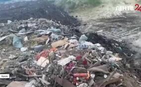 Предприниматель из Петербурга ответит за незаконную свалку вблизи мемориала «Невский пятачок»