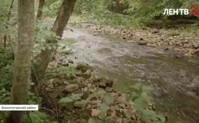 Река Рагуша взята под охрану