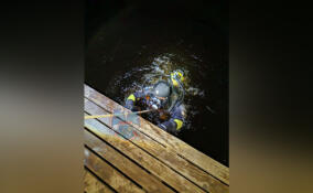 В реке Грузинка у Васкелово утонула женщина