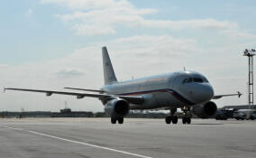 Технический сбой в Пулково: 20 самолётов вылетели без багажа пассажиров