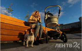 Лея и Мия, Захар и Злата: в ЗАГСе рассказали, как ленинградцы выбирают имена близнецам