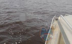 В устье реки Сясь заметили тело человека