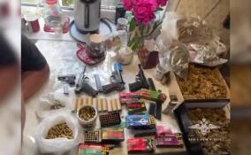 В Ленобласти задержан мужчина с арсеналом оружия и марихуаной