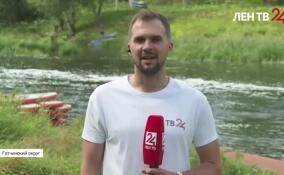 Сплав на реке Оредеж: что изменилось после введения новых правил