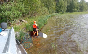 Тело мужчины обнаружили в Ладожском озере