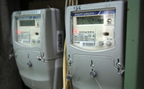 После обращения к губернатору семья из Ленобласти смогла подключить участок к электричеству