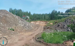 Нелегальную свалку обнаружили в Колтушском поселении