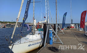 В Приозерском районе стартовала яхтенная регата «Большая Ладога»