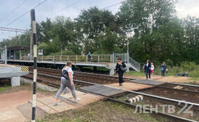 Более 60 человек погибли с начала года на железных дорогах Петербурга и Ленобласти