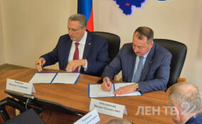 Проголосовать на выборах губернатора Ленобласти можно будет и в Петербурге