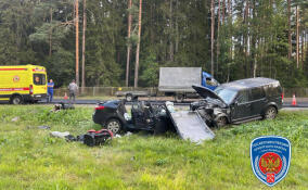 В столкновении двух иномарок на Приморском шоссе пострадал водитель одной из них