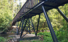 В заказнике «Гряда Вярямянселькя» построили новый мост на экотропе