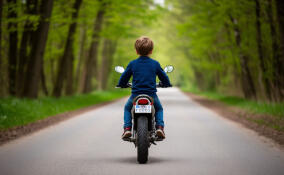 Питбайкер без прав попал в смертельную аварию в Лужском районе