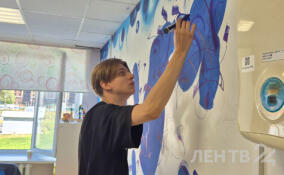 Художник Даниил Свиридов украсил детское отделение Гатчинской больницы муралом