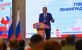 К 2035 году Ленобласть газифицирует населённые пункты с населением более 500 человек