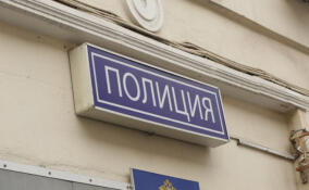 21-летняя жительница Бокситогорска предложила 16-летней девочке наркотики