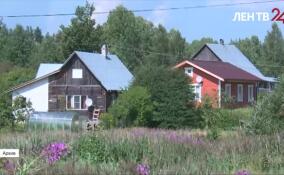 Дача — не бизнес. С сентября на участках СНТ запретят любую коммерцию