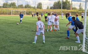 В Дубровке проходит региональный этап Всероссийского фестиваля дворового футбола