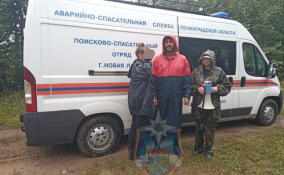 В лесу под Волховом искали двух заплутавших женщин