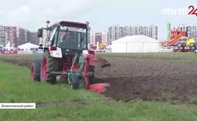 В Ленобласти завершился 12-й Открытый чемпионат России по пахоте