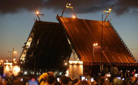 «Поющие мосты» в Петербурге посвятят памяти Виктора Цоя