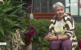 Жительница Мурино разбила небольшой палисадник под окнами многоквартирного дома