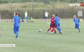 В Дубровке проходит региональный этап всероссийского фестиваля дворового футбола