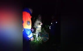 В лесу у Синявино заблудился мужчина