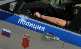 Мигрант пытался изнасиловать девушку в Новой Ладоге